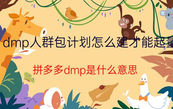 dmp人群包计划怎么建才能起量 拼多多dmp是什么意思？